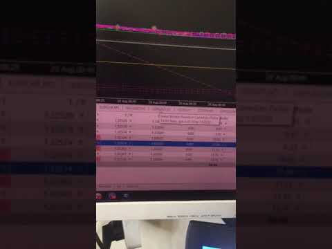 Cach to robot forex trade tren mt5