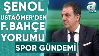 Şenol Ustaömer: \