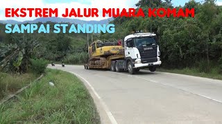 Duet SCANIA R580 dan VOLVO FH16 550 di Jalur Ekstrem Muara Komam