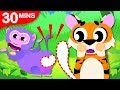 Where is My Tail? | Where is my Bum? | Can You Help Tiger Boo Boo and Looney Baboon? By Little Angel