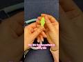 Free Snake Pattern