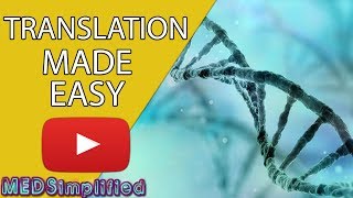 DNA Translation Made Easy