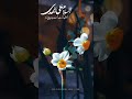 السلام علی المهدی امام زمان استوری ویدیو ImamMahdi 