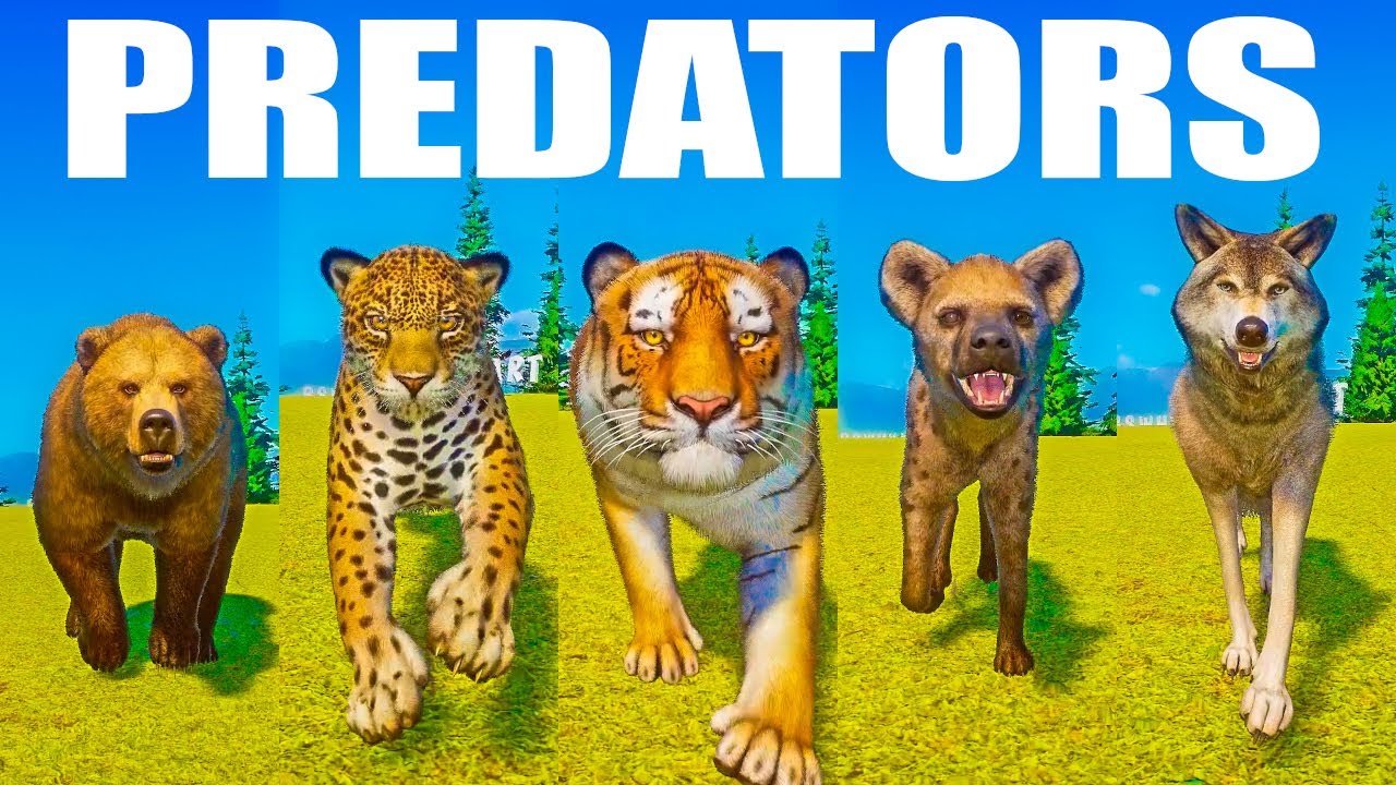 Speed Predators Predators Category Speed Races in Planet Zoo - YouTube