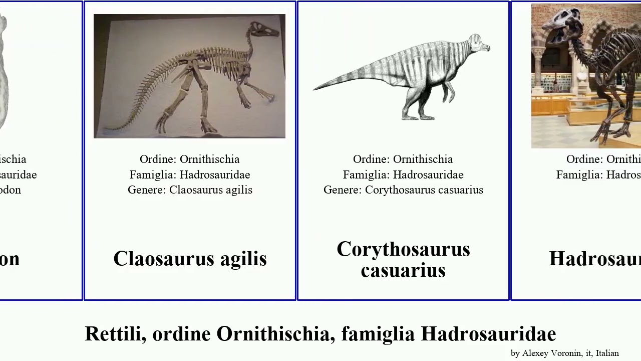 Rettili, ordine Ornithischia, famiglia Hadrosauridae occidentalis sinensis reptilia giganteus Fuse