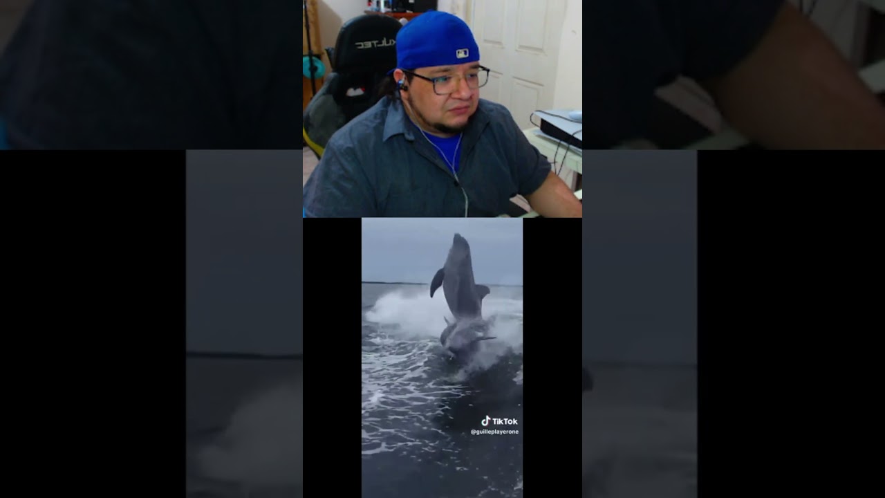 Clipsillos pa la banda 