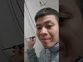Dây nào có điện sẽ có đèn xanh