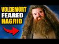The 5 BEST Hagrid Theories You'll Ever Hear - Harry Potter Theory