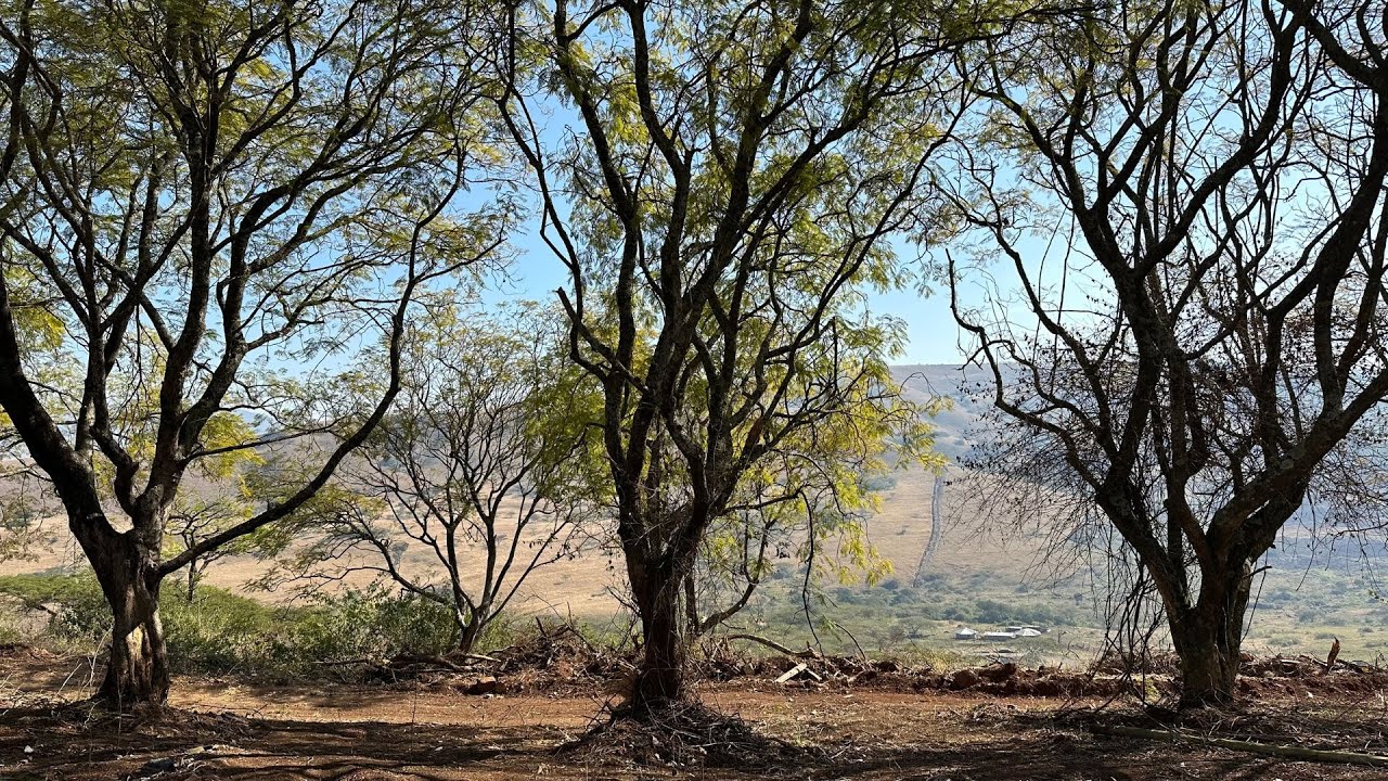 22Ha Land For Sale, Richmond Rural. YouTube