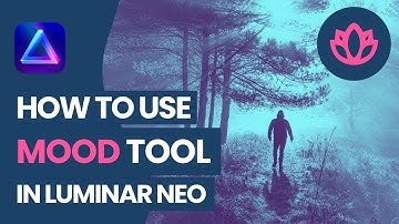 Luminar NEO: How to use the Mood Tool (LUTs)