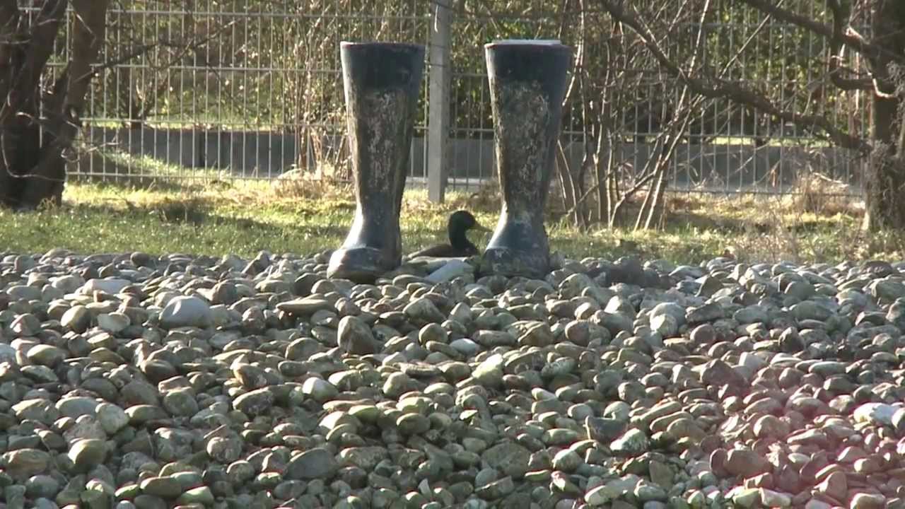 Mein München - Milbertshofen - Ein Stadtteil stellt sich vor
