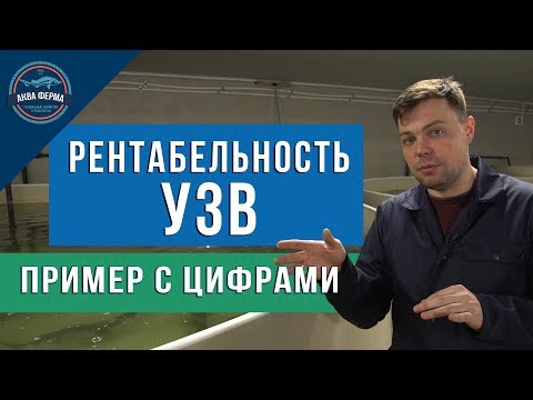 Рентабельность УЗВ реальный пример с цифрами  осетр