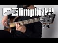 Limp bizkit  the truth bass cover  tab