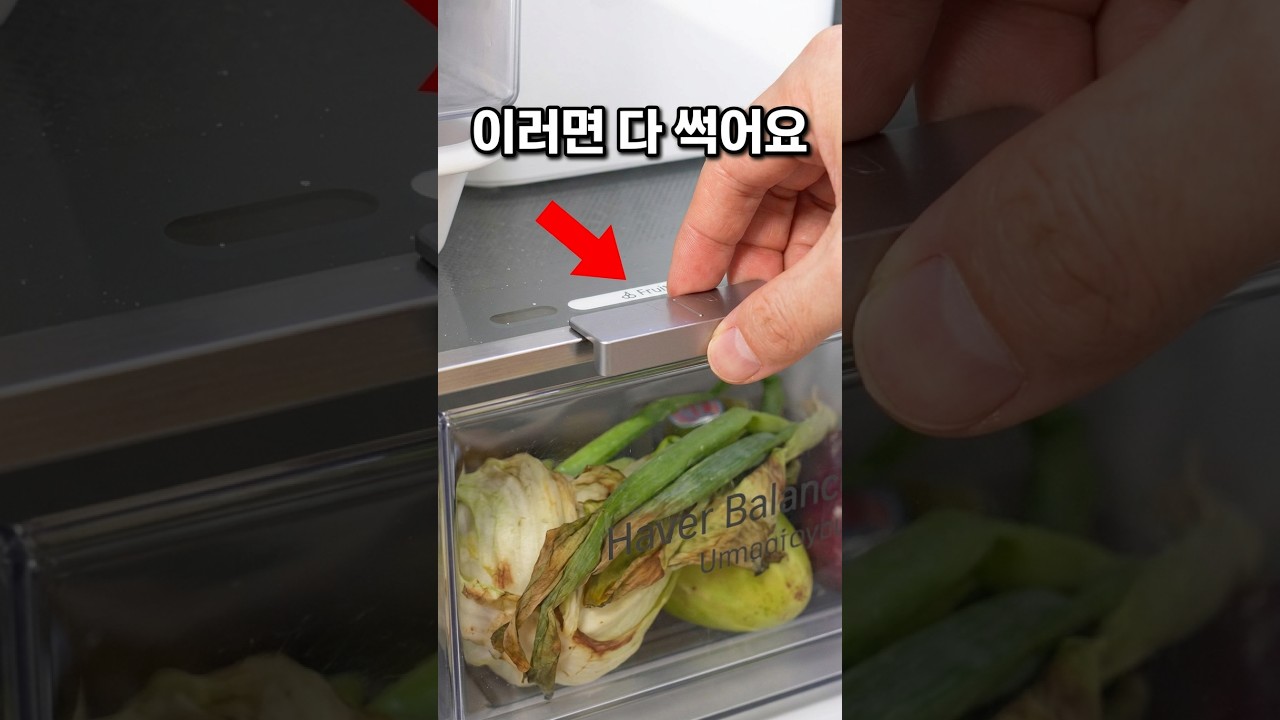 냉장고 야채칸 그냥 쓰면 다 썩습니다 (지금 당장 확인해 보세요)