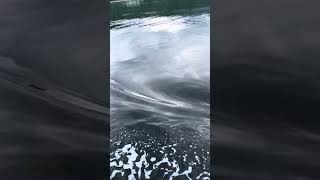 Loch Linnhe, relaxing and peaceful water waves on boat