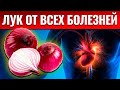 8 уникальных свойств ЛУКА🧅Вот что творит обычный ЛУК!!