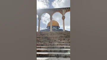 يارايح صوب بلادي 