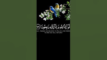 وبشر الصابرين الذين اذا إصابتهم مصيبه خالد الجليل تلاوه خاشعه جدا