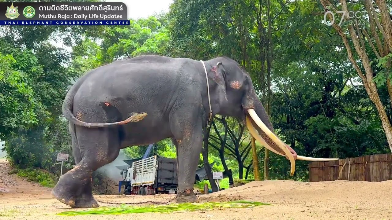 ตามติดชีวิต 