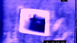 Wander as Ghosts - _℉_L_O_W_E_R_S_ sｌｏｗｅｄ ｖｉｓｕａｌ