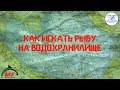 Как искать рыбу на водохранилище