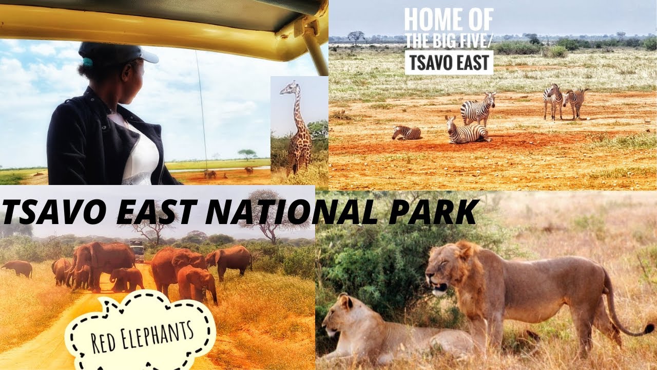 THE BEST OF TSAVO EAST NATIONAL PARK 2021/HOME OF THE BIG FIVE.