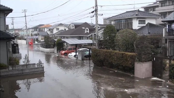 2011 Japan Tsunami & Aftermath - Wakabayashi Ward,...