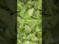 pappu palakura #food#vlogs