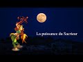 Dofus Touch : Sacrieur Feu - Air / Stuff et kolizeum