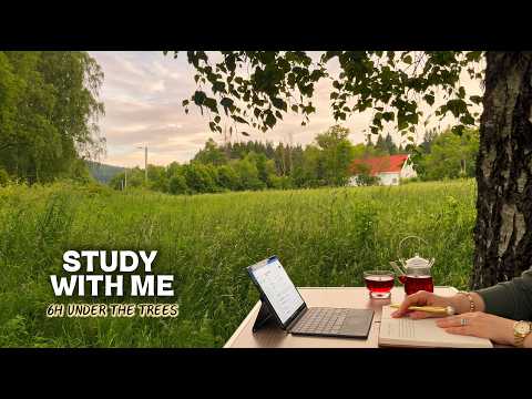 6 HOUR STUDY WITH ME 🌾 | Quiet Afternoon Under the Trees | Nature Sounds | No Music | Pomodoro 50/10