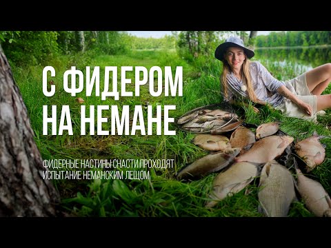 Видео: ЛЕЩ клюет! Фидерная РЫБАЛКА на реке НЕМАН в Беларуси. Настины Снасти #2