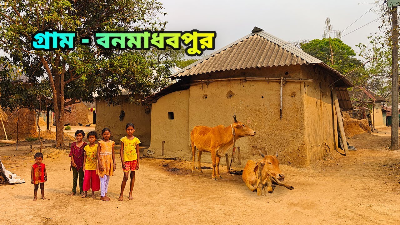 বনমাধবপুর: পাখিদের ডাক, মাটির গন্ধ, বনপথের একান্ত এক ঠিকানা || আমলাবাদ || #bankura #villagelife