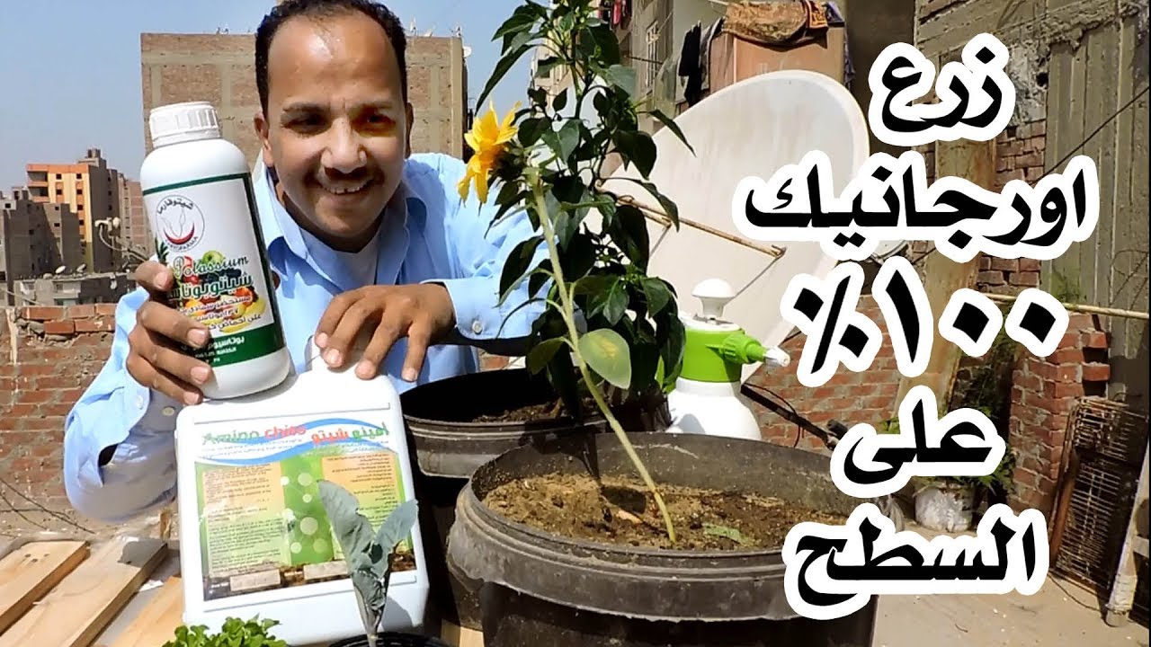 سماد عضوى طبيعي 100% + شرح مبسط كيفية التسميد - YouTube