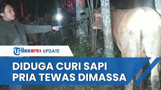 Diduga Curi SAPI LIMOSIN, Seorang Pria Warga Lumajang Tewas seusai Dihakimi Warga Sekitar yang Resah