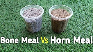 Horn meal  Vs  Bone meal fertilizer