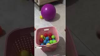 Renkli toplar🟢🟡🟠 #etkinlik #montessori #oyunlar #eğlence #youtube #renkli #youtubeshorts