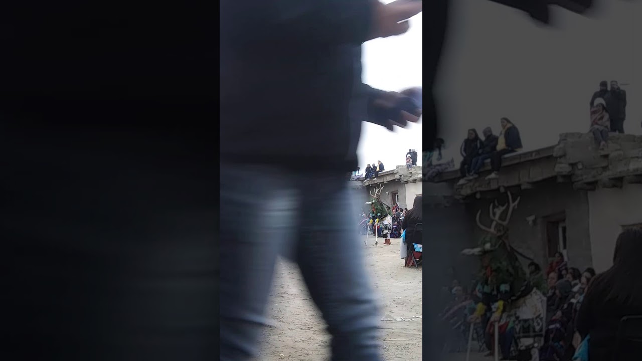 2K20 FANCY BUFFALOZ POLACCA AZ 🔥🔥🔥🔥