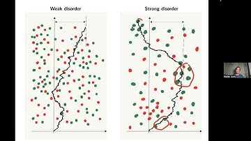 Stefan Junk: The phase transition for the directed polymer model in higher dimensions