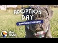 Blind Rescue Puppy Wins Over Every Member Of His New Family | The Dodo Adoption Day