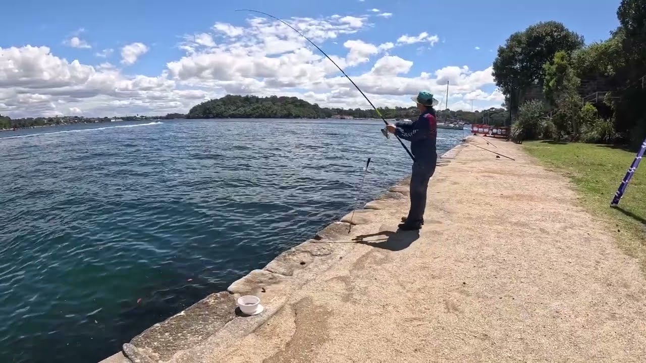 Fishing’s Sydney harbour flathead