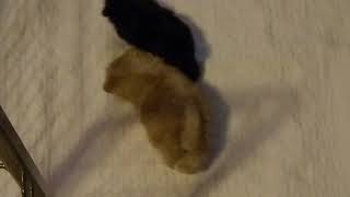 DSCN9265