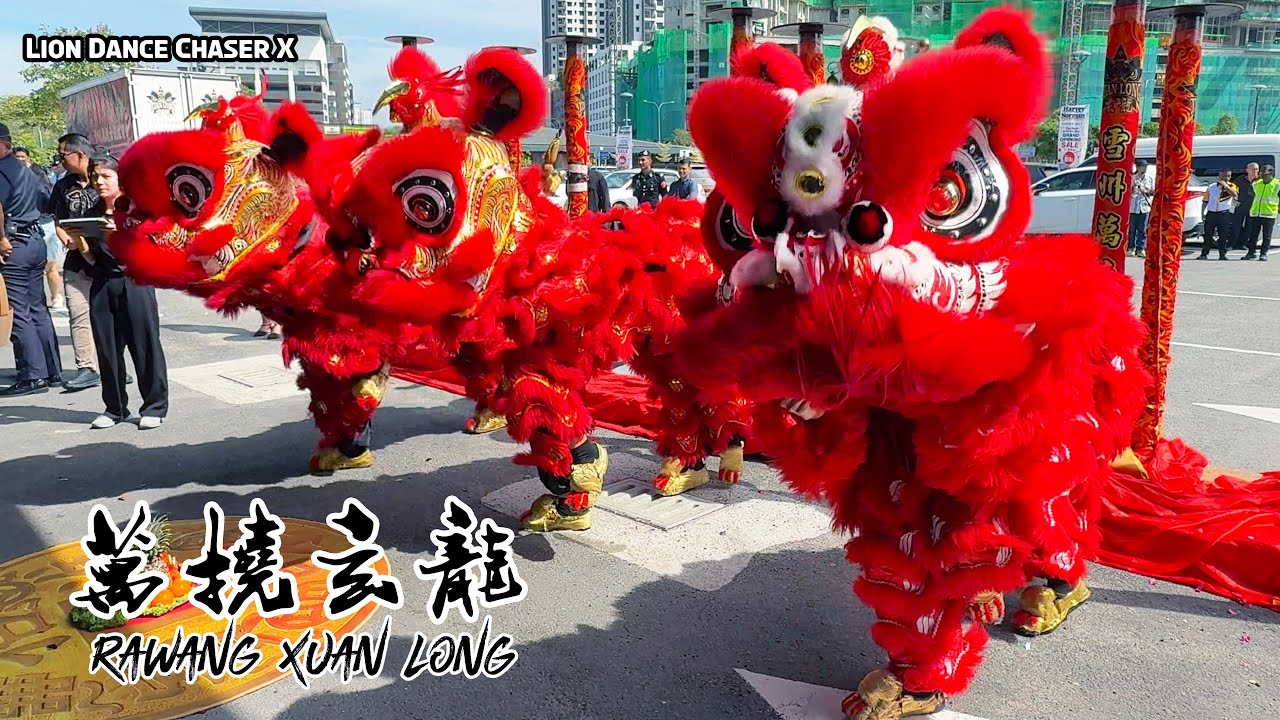 Acrobatic Lion Dance 高桩舞狮 | Rawang Xuan Long 万挠玄龙 | 高桩舞狮 双狮地青 民间传统 鼓乐伴奏 | Kiara Bay