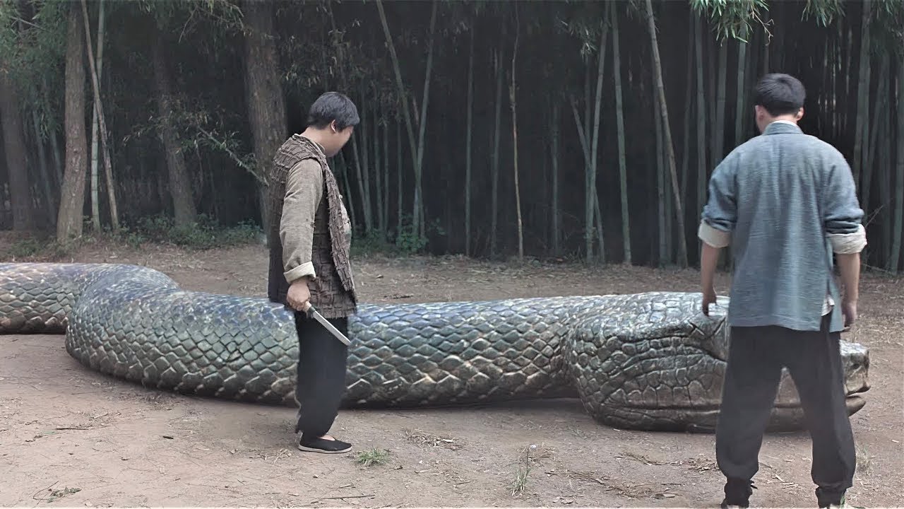 昏厥的巨蛇突然苏醒,小伙骑在巨蛇身上差点尿了裤子! 【变异巨蟒 Mutant Python】 | 惊悚/剧情 | 经典大本营 - YouTube