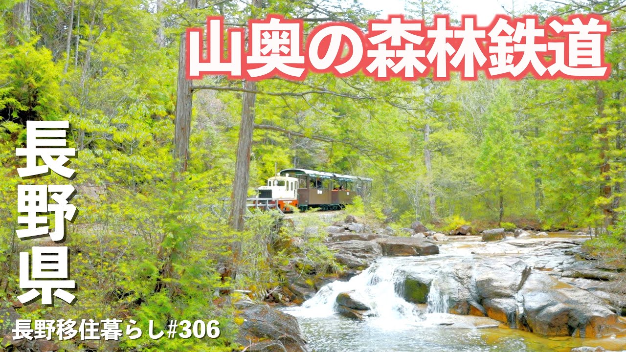 【長野移住】山奥に10km以上進んだ先に楽園があった!!｜赤沢森林鉄道｜カネチ藤屋｜木曽｜ドライブ｜田舎暮らし｜長野県｜4K