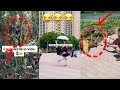 Collection of videos of unexpected incidents and funny moments that make you laugh out loud. Part 5
