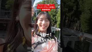 貴島明日香、絶景の中を飛ぶ。 #貴島明日香 #vlog