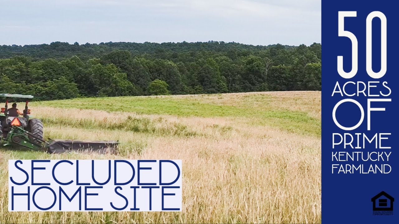 Prime Kentucky Farmland For Sale in Olive Hill, KY YouTube