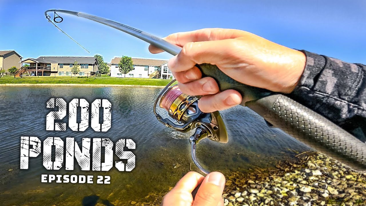 I Found A HONEY HOLE With Finesse Tactics! (“200 Ponds” Ep. 22)