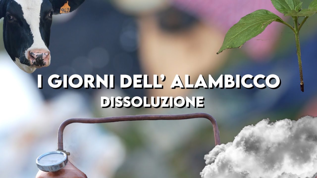 I Giorni dell'Alambicco 2023 - Dissoluzione (trailer)