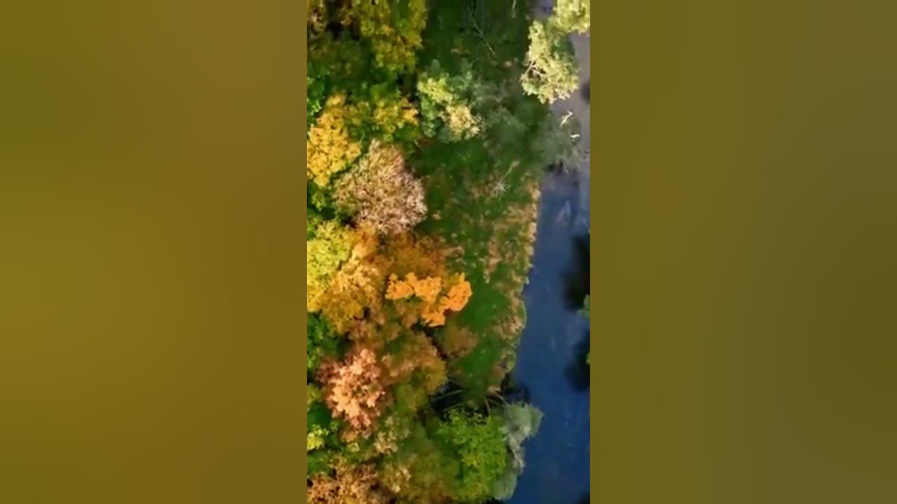 There are more insects than humans universe documentary earth 